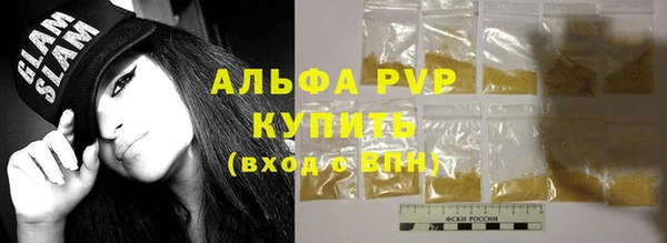 индика Баксан