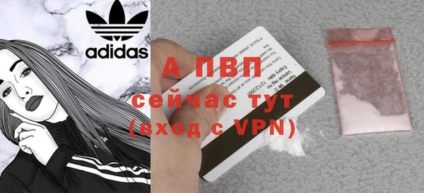 COCAINE Белокуриха