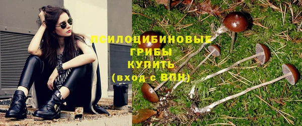 дживик Арсеньев