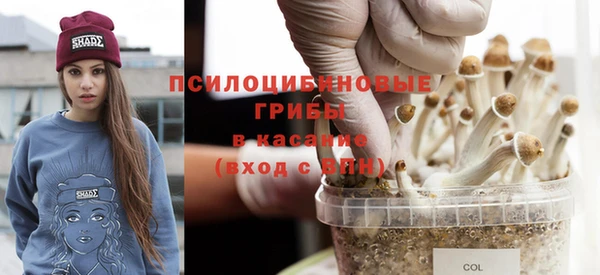 молекула духа Балабаново