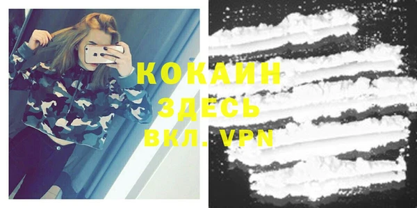 индика Баксан